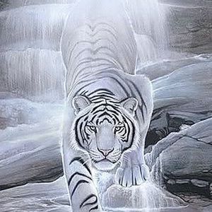 Meet your Posher, Mam